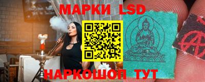 амф Новозыбков