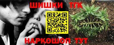 стаф Новокубанск