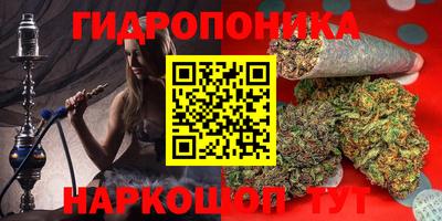 амф Новозыбков
