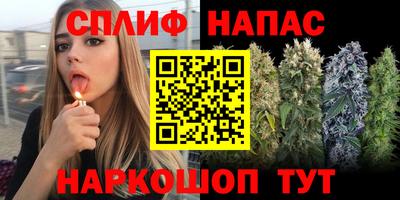 амф Новозыбков