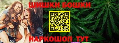 стаф Новокубанск