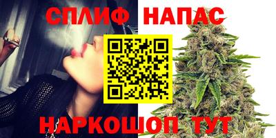 стаф Новокубанск