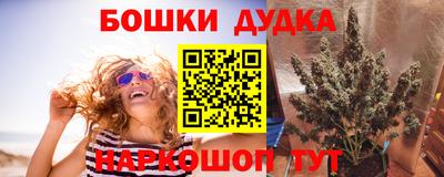 амф Новозыбков